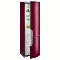 GORENJE RK 62391 R